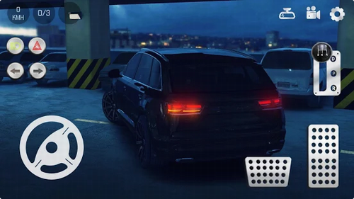 u771fu5b9eu6ccau8f662u4e2du6587u7248