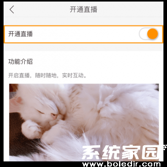功能激活状态显示