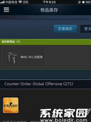 Steam库存新物品显示示例