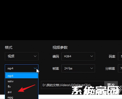 格式选择与保存路径
