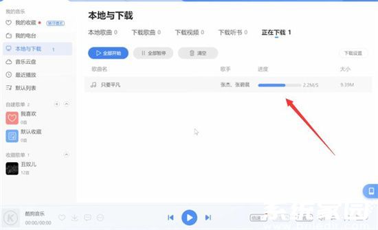 音乐下载参数设置示意图