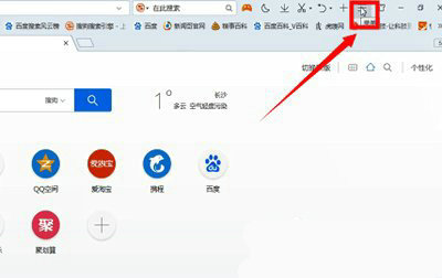 浏览器参数设置界面示意图
