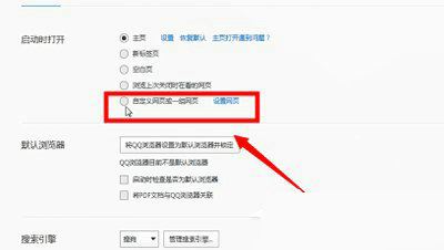 启动项自定义设置示意图