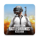 PUBG日韩服国际版全新优化上线