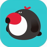 犀鸟好前途公考学习助手v5.8.3 最新版