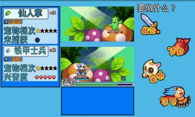 u5ba0u7269u738bu56fd5u5f69u8679u514du8d39u7248u672c