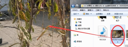 文件导入示意图