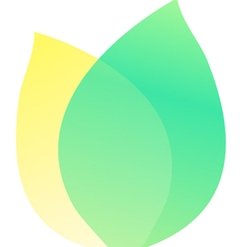 飞火动态壁纸唤醒个性桌面新