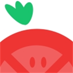 番茄动漫2024高清追番神器推荐