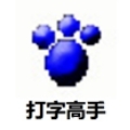 打字高手最新版高效训练与实测反馈v8.4