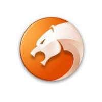 猎豹安全极速双核浏览器v9.0.112.22581