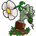植物大战僵尸新版策略防御升级中文版1.2.0.1073
