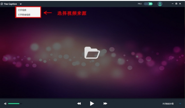 格式支持